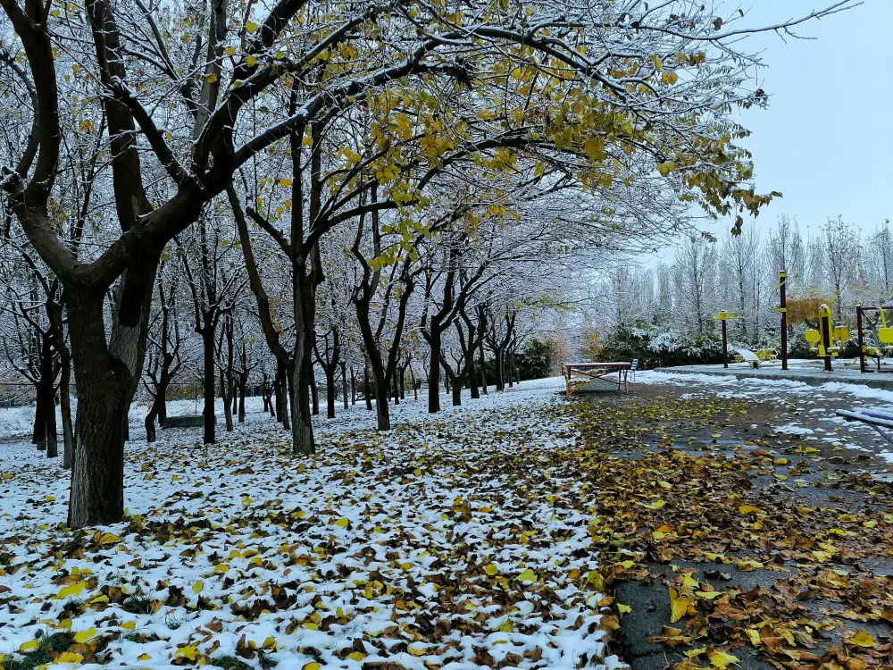 Year-round tourism boost in Srinagar 2025