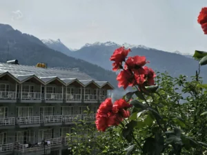 Hotels for sale in jammu