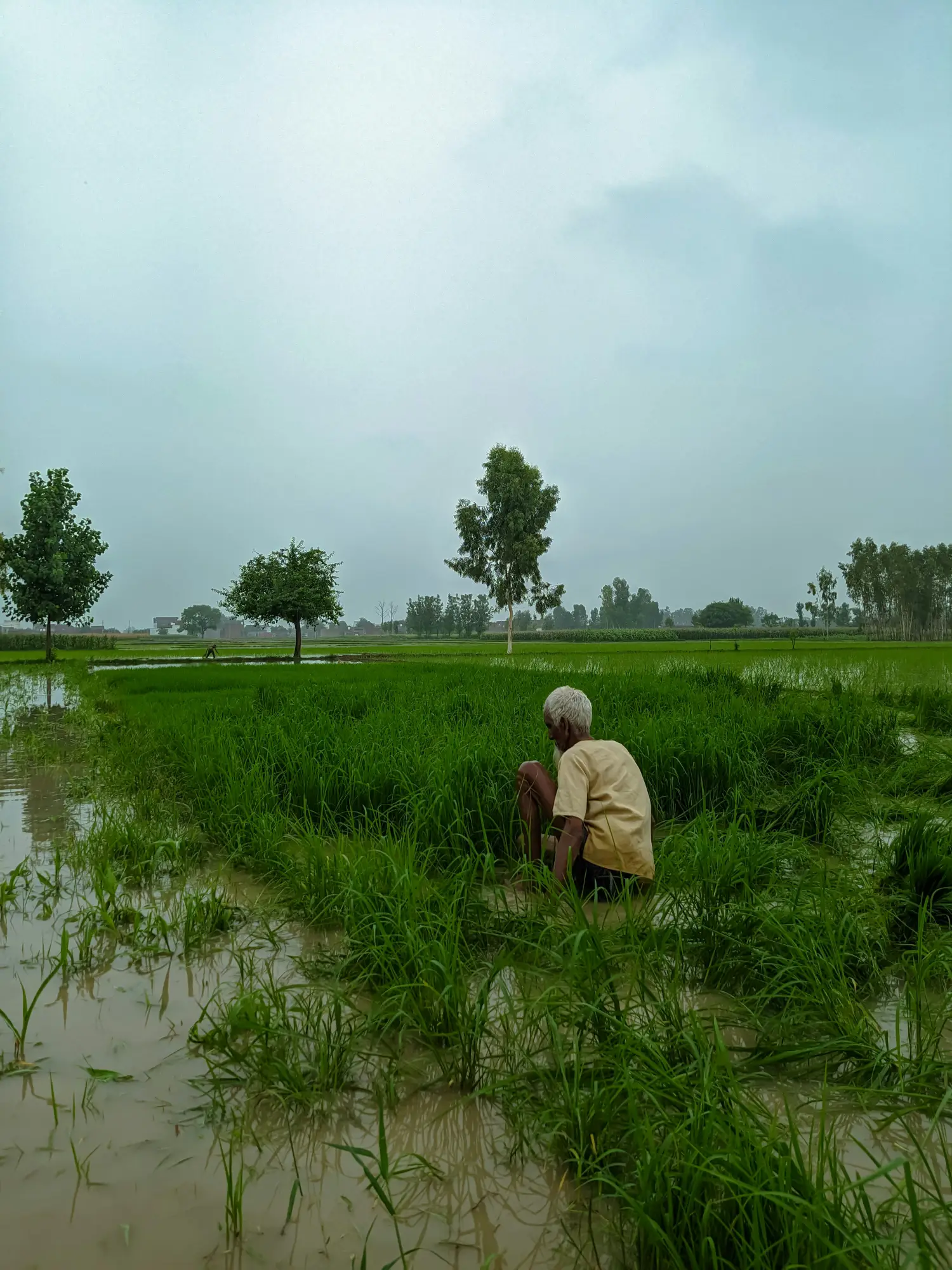punjab Flood
